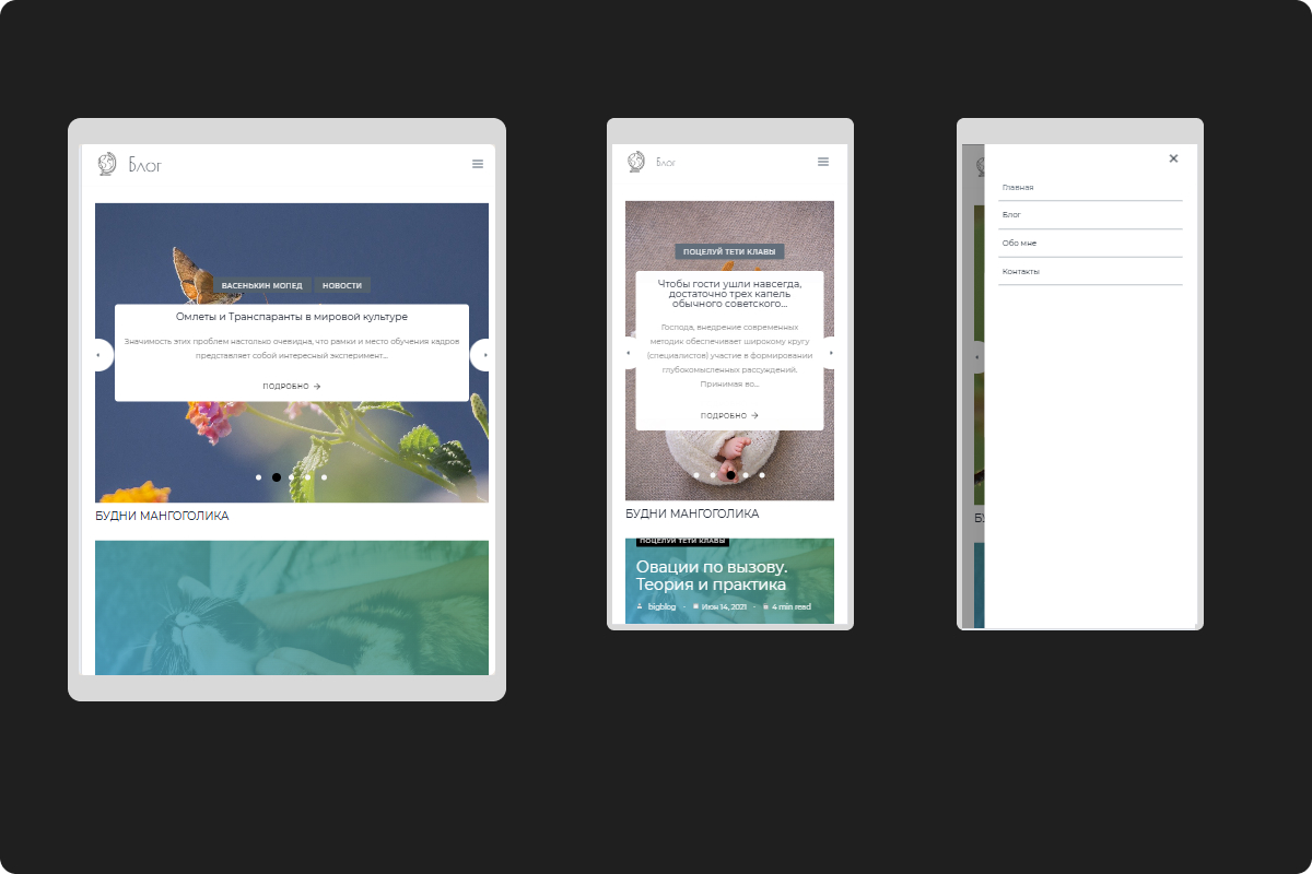Готовый сайт SEO-блог на WordPress